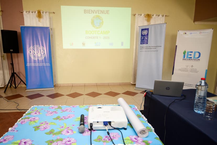 Portfolio image miniature 14